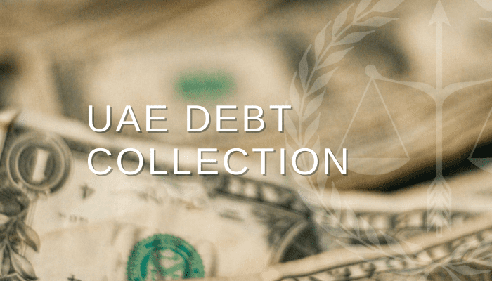 Professional Debt Collection Agency